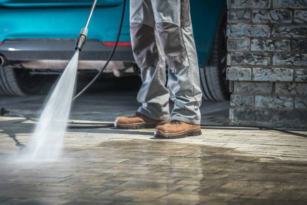 Best Roof Washing  in Bisbee, AZ